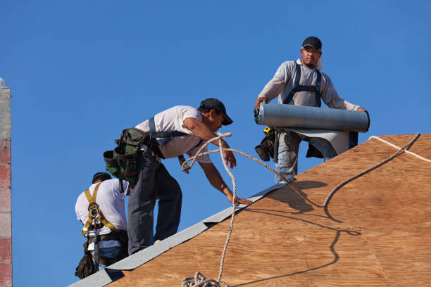 Best Roof Gutter Cleaning  in Westport, IN